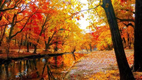 wallpaper of autumn season|free autumn desktop wallpaper background.